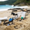 Saving Marine Animals from Plastic Garbage